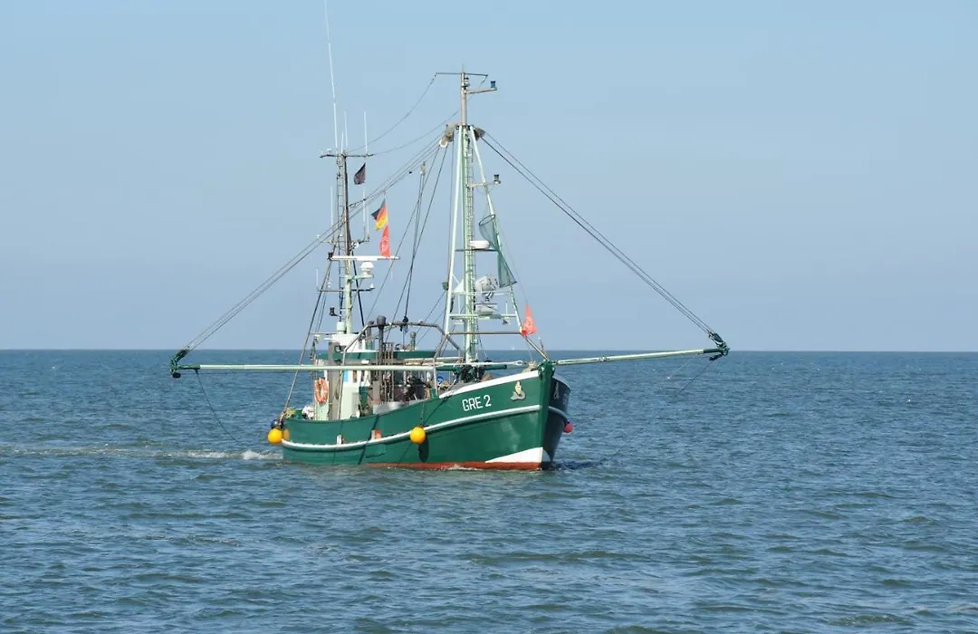 Ahoi-1