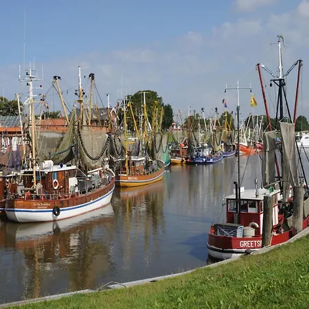 Ahoi-3